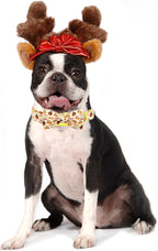 Dog Collar, Thanksgiving Turkey Pet Collar Bow Holiday Girl Boy Bow Puppy - Image 5