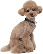 Reflective Dog Collar for Small Dogs Cats, Cute Camouflage Adjustable - Image 2