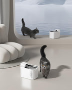 PETKIT EVERSWEET MAX Cordless Cat Water Fountain - Image 9