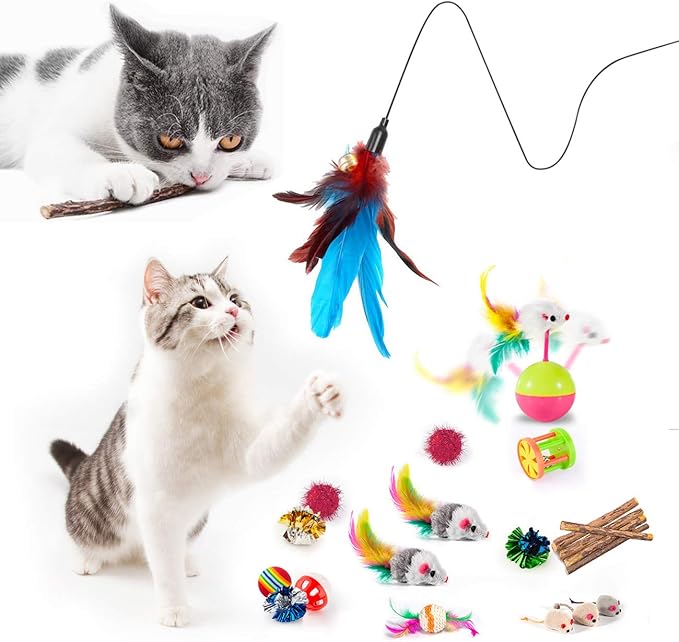 MIBOTE 28Pcs Cat Toys Kitten Toys Assorted, Cat Tunnel Catnip Fish Feather - Image 2