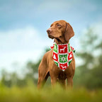 30 Pack Christmas Happy New Year Dog Bandanas Bulk 33 Inch Large Dog Bandanas - Image 6