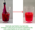 Cat Toys - No Chemical Dyeing Cat Feather Toys - Image 3