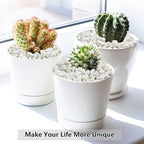 10LB Succulent and Cactus Gravel, 1/5 Inch White Natural Decorative Polished - Image 7