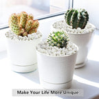2LB Succulent and Cactus Gravel Pebbles, 1/5 Inch White Natural Decorative - Image 5