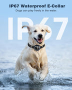 2-in-1 Dog Shock Collar & Dog Bark Collar - Image 5