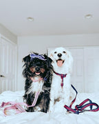 Blueberry Pet Adjustable Flocking Dog Collar - Image 7