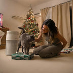 WiseSky Pet Air Purifier, 3-in-1 HEPA Filter - Image 3