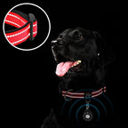 azuza Reflective Dog Collar - Image 5