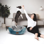 Asvin Small Dog Bed for Small Dogs, Cat Beds for Indoor Cats, Pet Bed for Puppy - Image 6