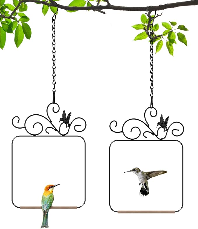 PACETAP Hummingbird Swings and Perches Metal Frame 2 Pack, Wild Bird Swing by PACETAP