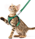 PUPTECK Cat Harness and Leash Set Escape Proof Reflective Cat Walking Harness by PUPTECK