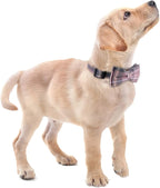 Faleela Cute Soft Girl Dog Collar - Image 5