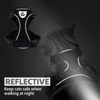 PUPTECK Cat Harness and Leash Set Escape Proof Reflective Cat Walking Harness - Image 6