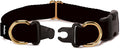 PetSafe KeepSafe Collar for Dogs by PetSafe