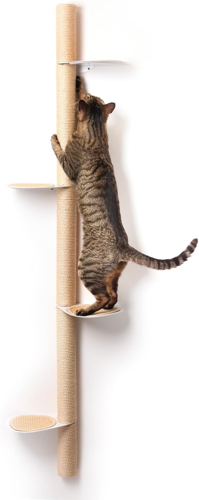 68" Tall Wall-Mounted Cat Tree – Modern Space-Saving Cat Shelf by xympo