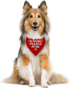 I'm Friendly Please Pet Me Dog Bandana - Image 3