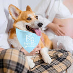 Big Sister Big Brother Dog Bandanas, Adjustable Double Sided Pet Bandana - Image 6