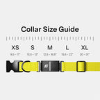 New Fi Series 3+ Smart Dog Tracker Collar GPS Tracker - Image 5