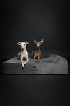 NOAH & PAW Large Dog Bed, Orthopedic Dog Beds, Eggshell Memory Foam Infused - Image 3
