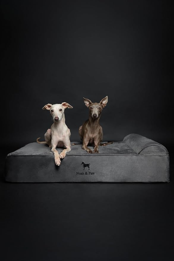NOAH & PAW Large Dog Bed, Orthopedic Dog Beds, Eggshell Memory Foam Infused - Image 3