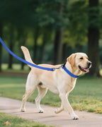 Joytale Large Dog Collar, Reflective and Adjustable Nylon Pet Collar - Image 6