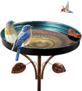 DREAMSOUL 38 Inch Bird Bath by DREAMSOUL