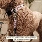 Lucy & Co. Dog Collar - Image 2