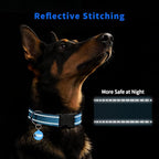 Reflective Dog Collar for Medium Dogs - Image 3