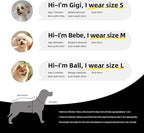 Custom Dog Shirt Personalized Pet Jersey Shirts - Image 5