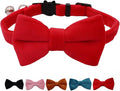 Cat Collar Breakaway with Bell and Removable Bow Tie Safety Buckle Velvet by WDPAWS
