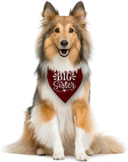 Big Sister Bandana for Dogs, Dog Pregnancy Announcement, Dark Red Dog Bandana - Image 3