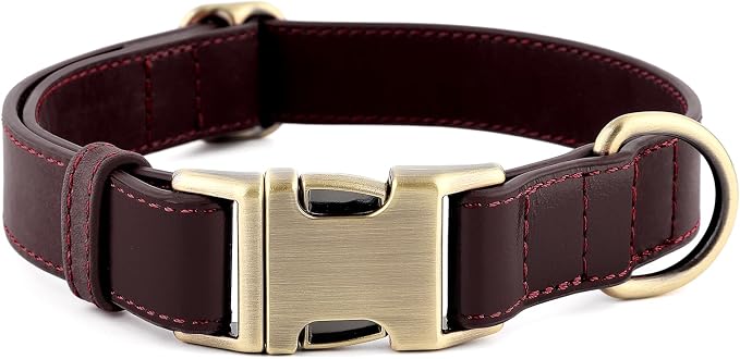 Plutus Pet Genuine Leather Dog Collar – Adjustable Pet Collar by PLUTUSPET