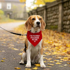 I'm Friendly Please Pet Me Dog Bandana - Image 5