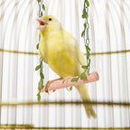 La La Pet® Hanging Wooden Pet Bird Swing - Image 3