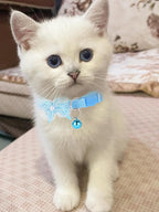 16 PCS Cute Cat Collars Breakaway - Image 3
