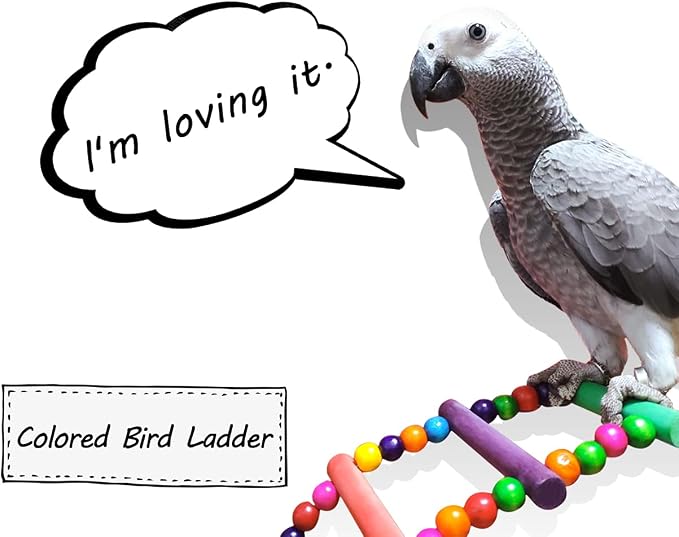 DS. DISTINCTIVE STYLE Bird Ladder Toys Coloured Flexible Parrot Swing Bridge - Image 3