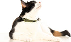 3 Pack Breakaway Cat Collar - Image 7
