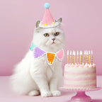 Sanwuta 2 Pcs Cat Birthday Party Supplies, Knit Cat Hat Kitten Birthday Bib - Image 5
