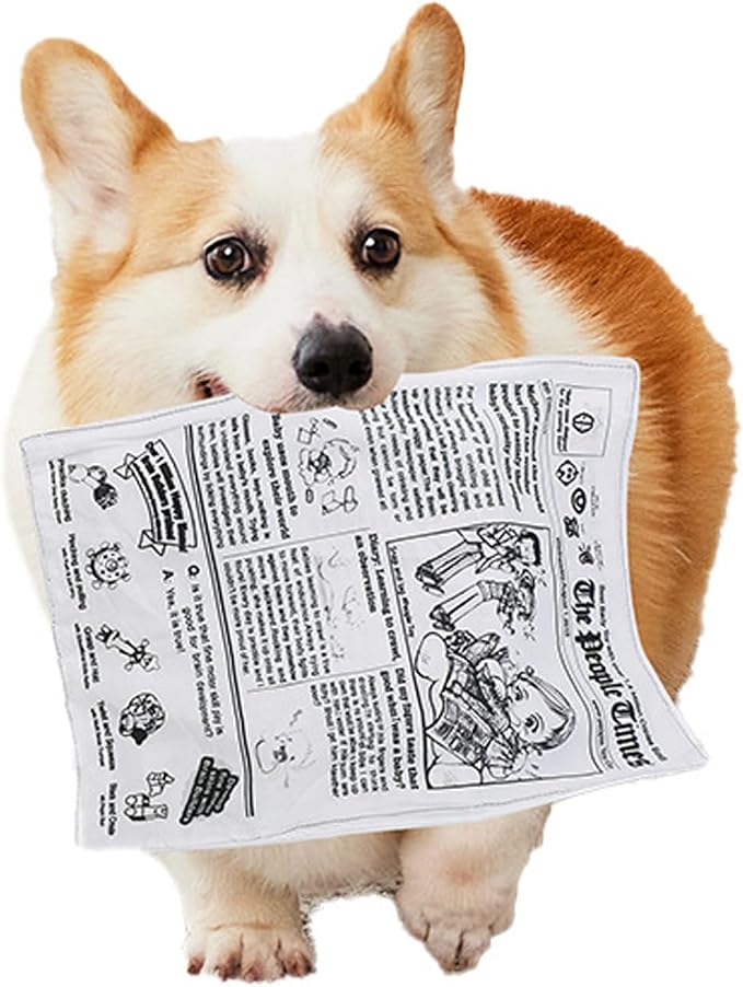 3 Pack Dog Squeaky Toys Crinkle Paper Dog Toys Non Shredding Washable - Image 3