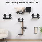 5-in-1 Cat Wall Shelves, Perch & Lounge - Image 4
