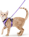 rabbitgoo Cat Harness and Leash by rabbitgoo