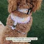 Lucy & Co. Among The Wildflowers Dog Collar - Image 5