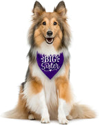 Big Sister Dog Bandanas, Pet Scarf Accessories, Pet Triangle Scarf, Dogs Bandana - Image 4