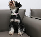 DOGWONG Cotton Dog Collar - Image 4