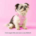 Downtown Pet Supply Step in Dog Harness - Image 2