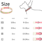 DOG WORLD Custom Fluorescent Dog Collar - Image 9