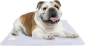 The Green Pet Shop Dog Cooling Mat Cover by TheGreenPetShop