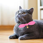 Bunny Ear Cat Collar with Bell and Bow Tie, Breakaway Cute Bowtie Kitten Collars - Image 7