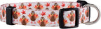 Native Pup Thanksgiving Dog Collar- Fall Collars - Image 2