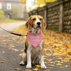 Big Sister Dog Bandana, Pet Triangle Scarf - Image 5